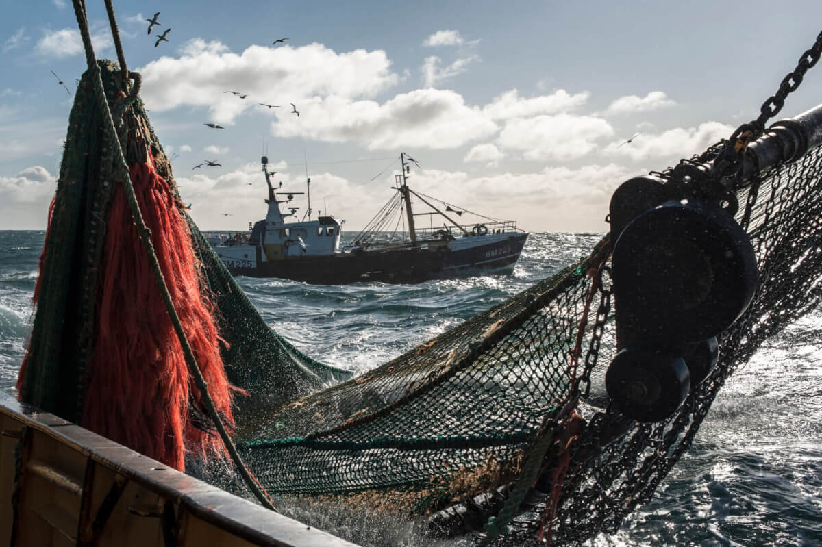 Cornish Fish Producers Association website